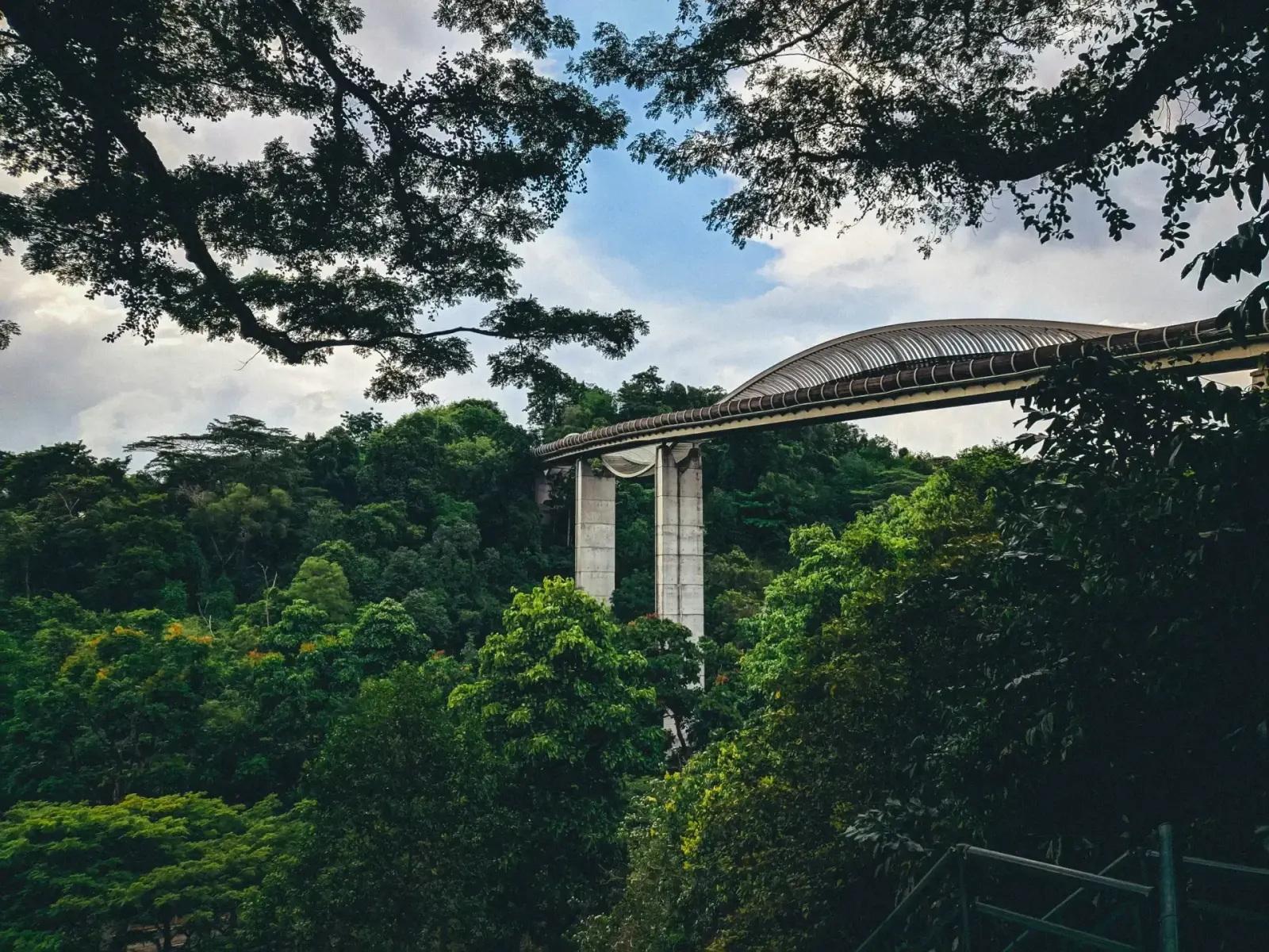 Henderson Waves Bridge - Top 13 Filming Locations in Singapore by Moving Image