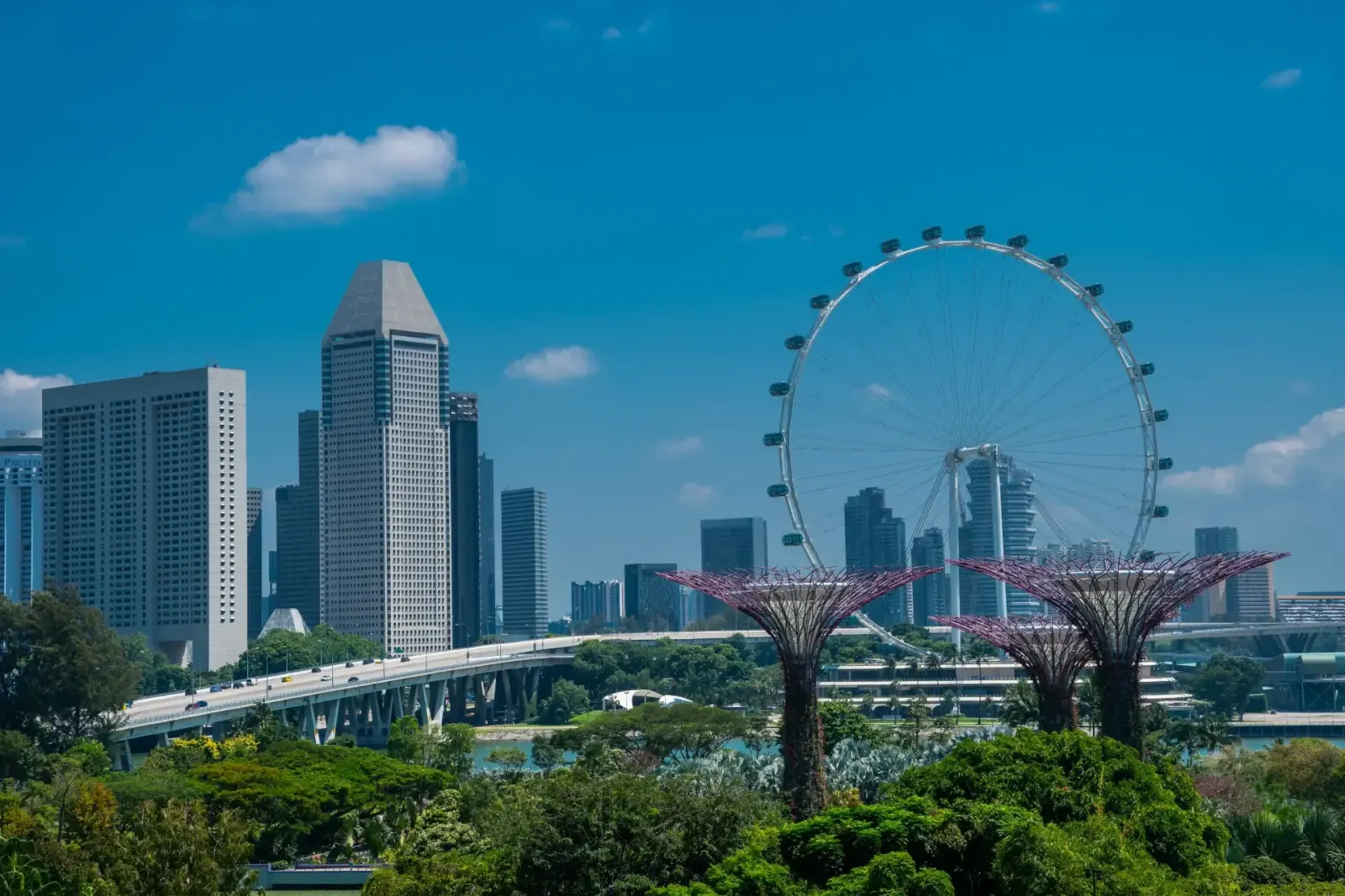 Gardens by bay- Top 13 Filming Locations in Singapore by Moving Image